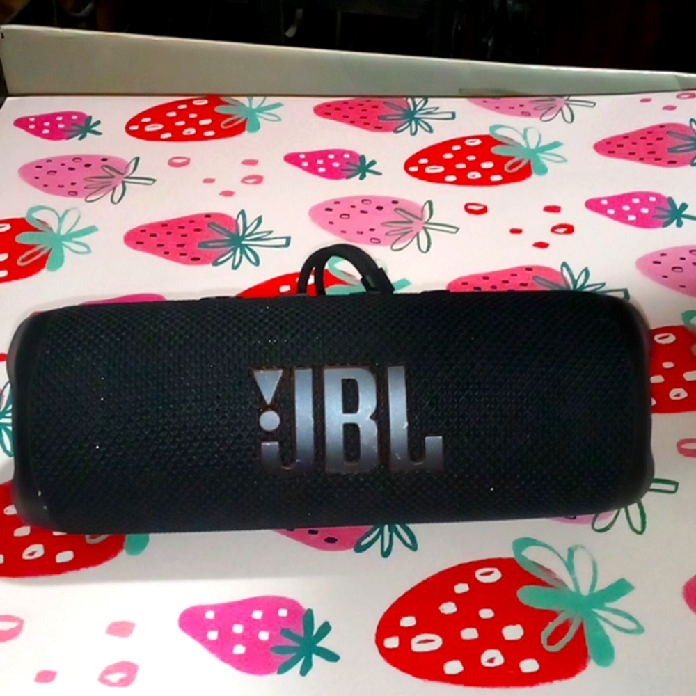 JBL Flip 6